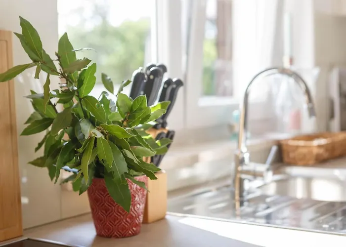 Antonada Casa vacanze